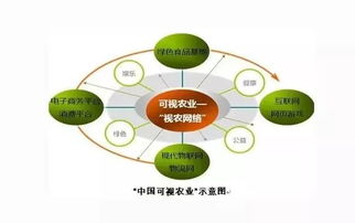会呼吸的可视田 探秘互联网赋能的生态农业新价值链